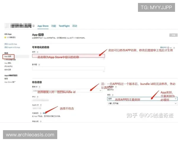 如何快速下载安装凯发旗舰厅平台iOS版，详细步骤与注意事项解析
